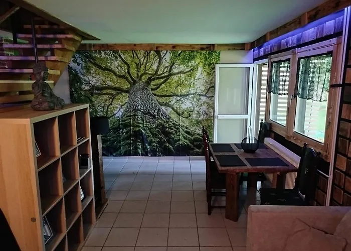 Wilcze Schronisko Czerniki