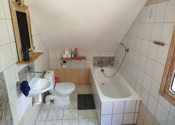 Wilcze Schronisko Czerniki