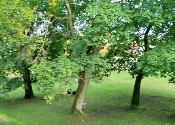 Wilcze Schronisko Hostel Czerniki